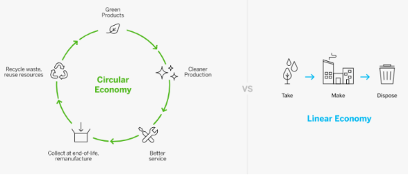 순환경제와 선형경제(Circular economy and linear economy)